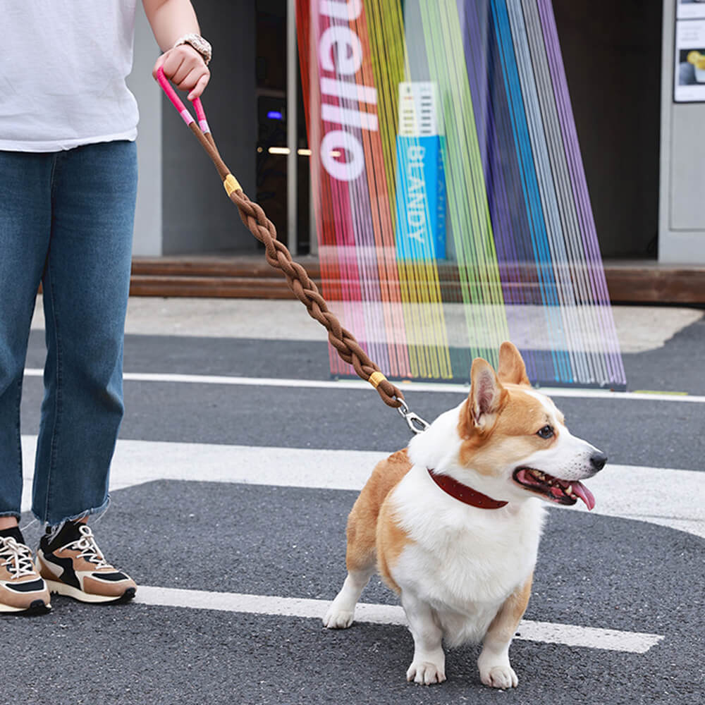 Hand-Woven Dog Traction Rope - Thick and Durable for Comfortable Walks