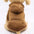 Colourful Cosy Dog Hoodies - Perfect for All-Weather Comfort