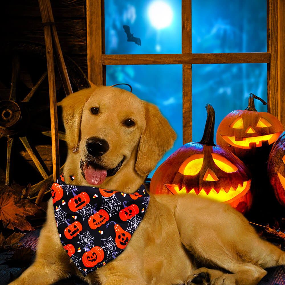 Halloween Pet Triangle Bandana | Skull, Ghost & Pumpkin Dog Cat Bandana