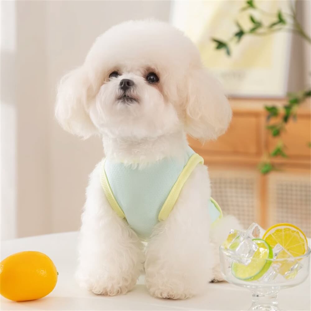 Breathable Pastel Dog Harness Vest - Comfortable and Stylish for Everyday Wear