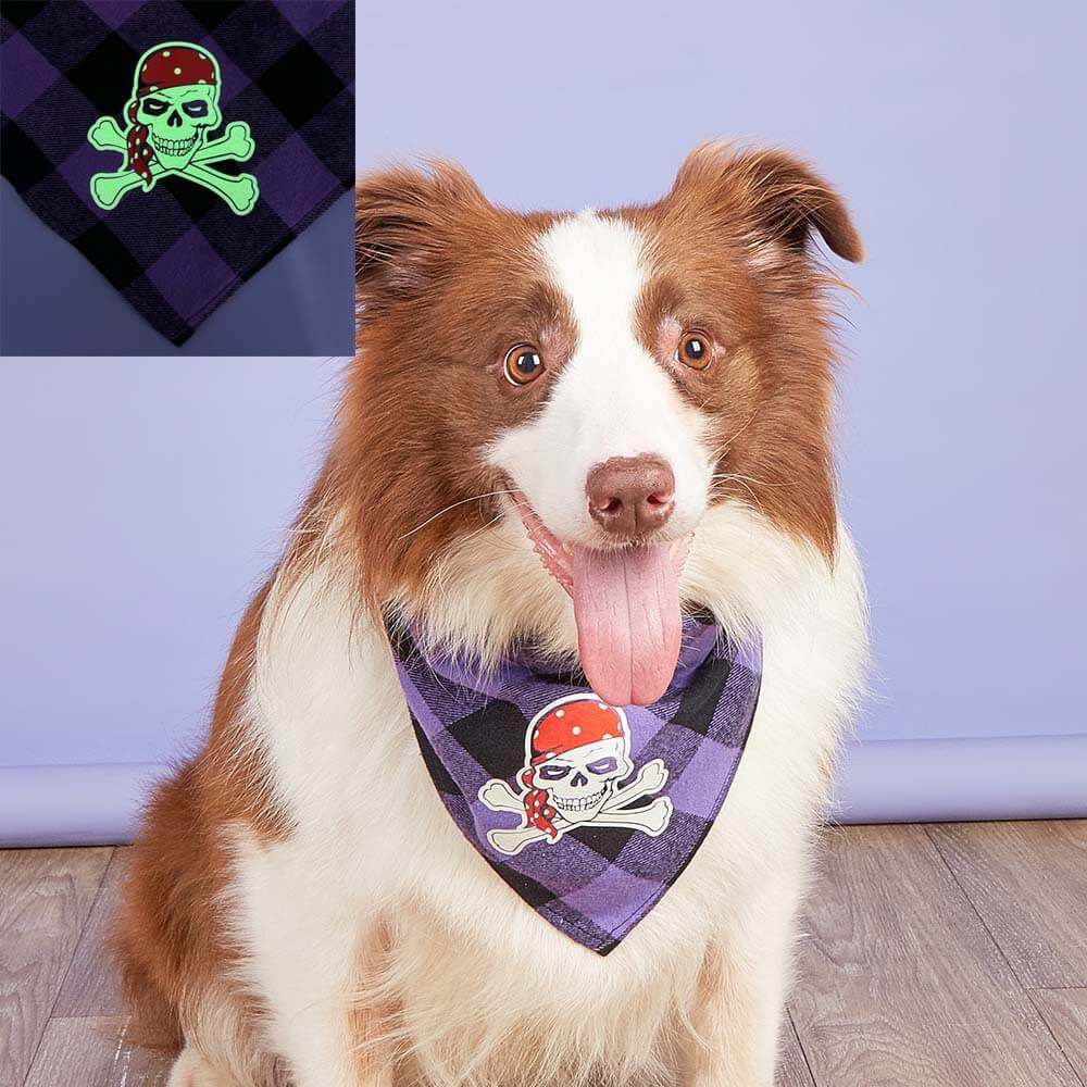 Luminous Pumpkin Skull Triangle Bandana for Pets | Festive & Glowing Dog Bib