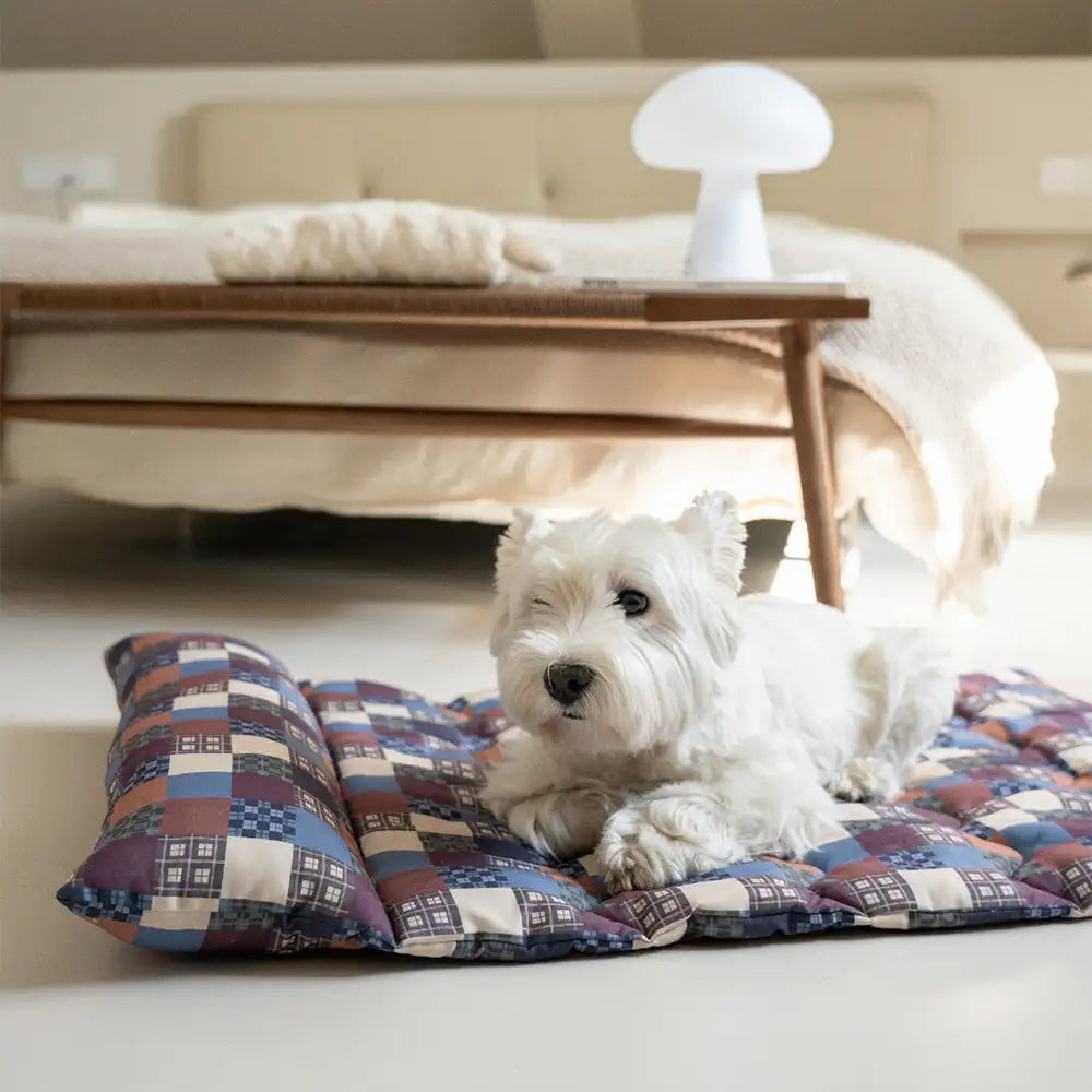 All-Season Breathable Double-Sided Neck Support Pillow Dog Bed