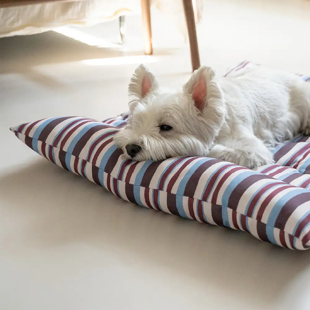 All-Season Breathable Double-Sided Neck Support Pillow Dog Bed