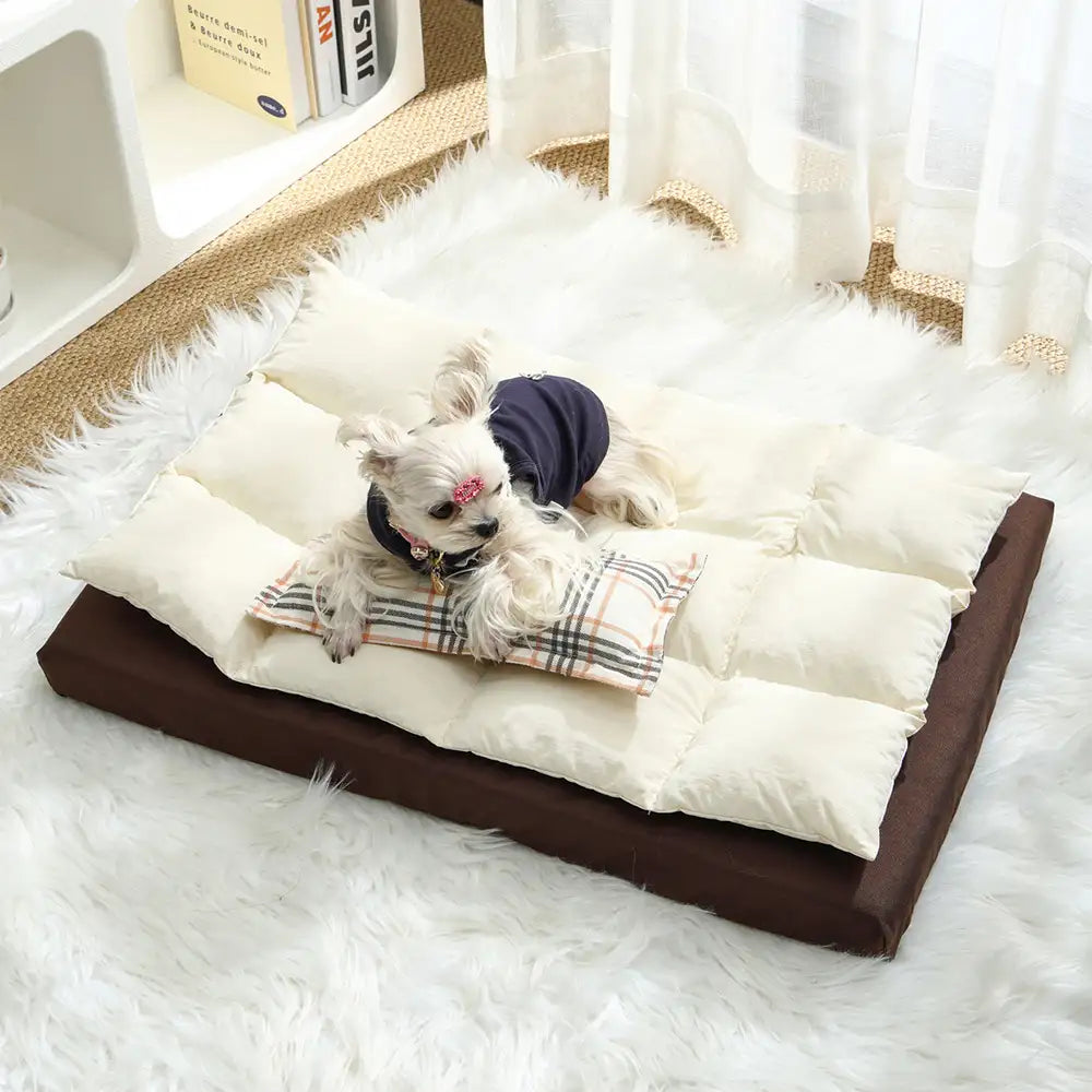 All In One Multi-Functional Water-Repellent Comfort Dog Bed With Pillow