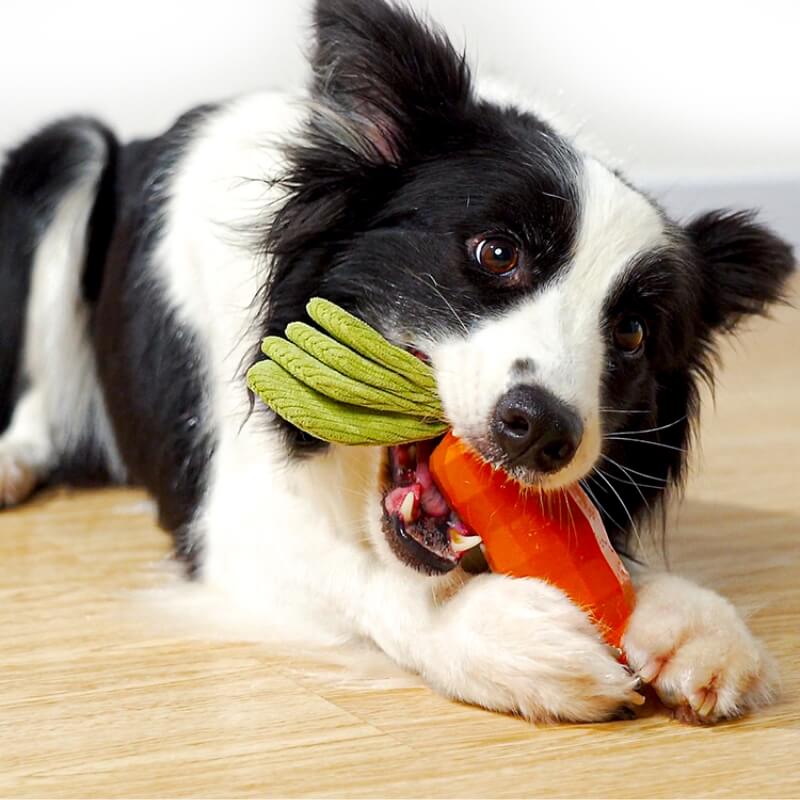 Carrot Squeaky Toy Durable Dog Chew Toy