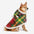 Classic Plaid Warmth Human & Dog Poncho - Festive Companions
