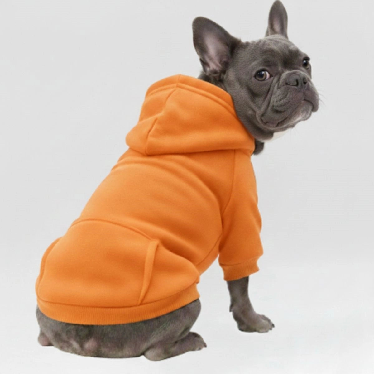 Colourful Cosy Dog Hoodies - Perfect for All-Weather Comfort
