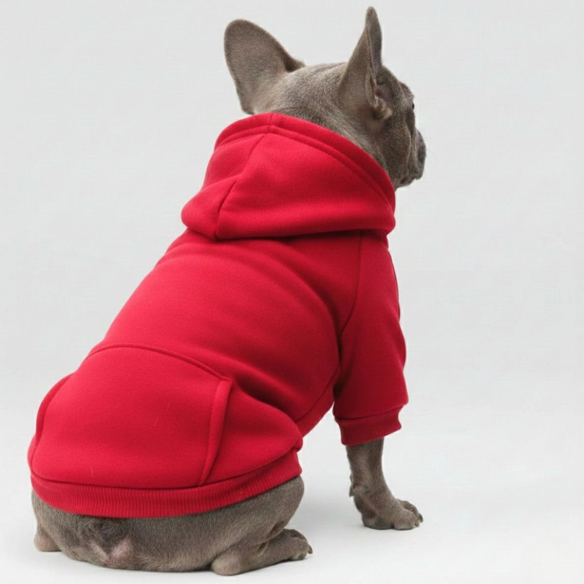 Colourful Cosy Dog Hoodies - Perfect for All-Weather Comfort