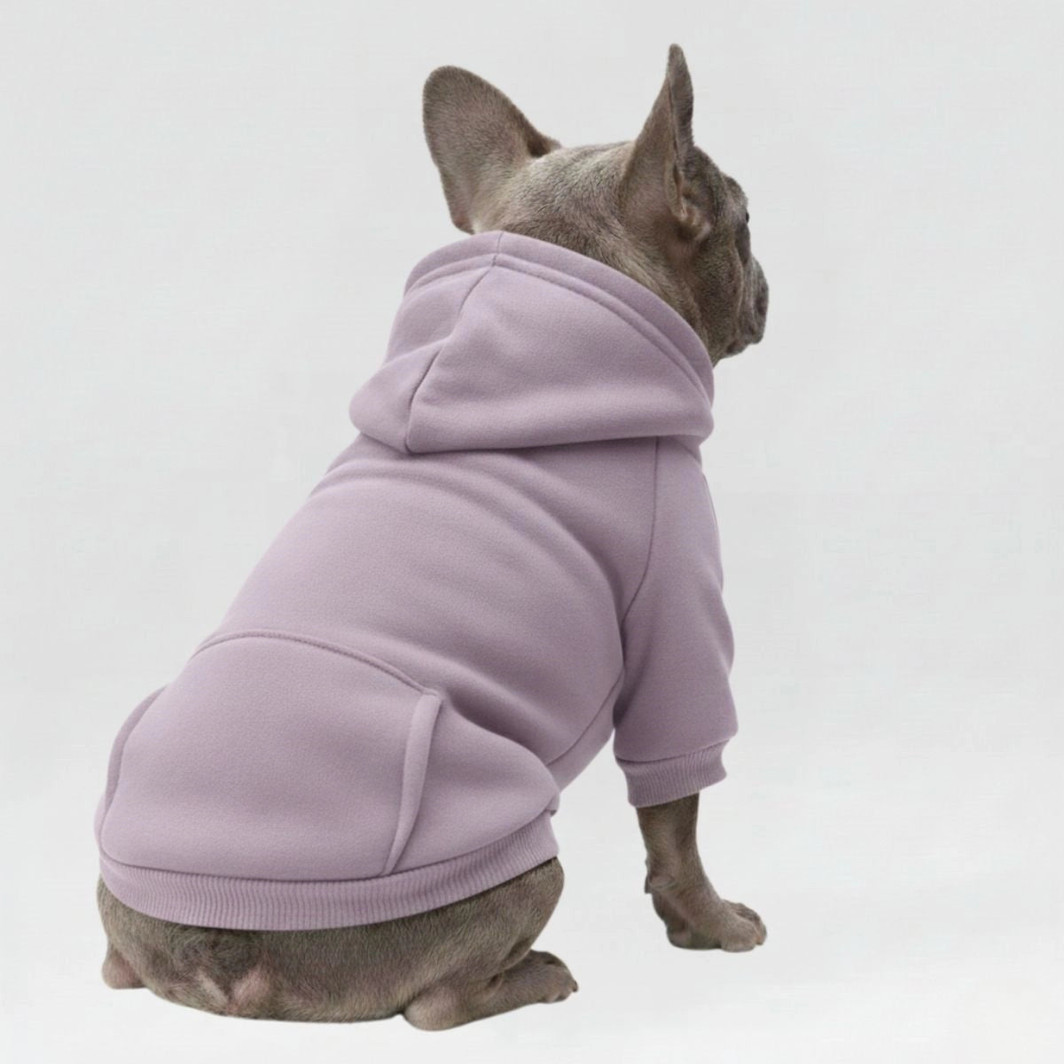 Colourful Cosy Dog Hoodies - Perfect for All-Weather Comfort