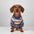 Colourful Striped Dog Sweater - Cosy & Fashionable Winter Wear