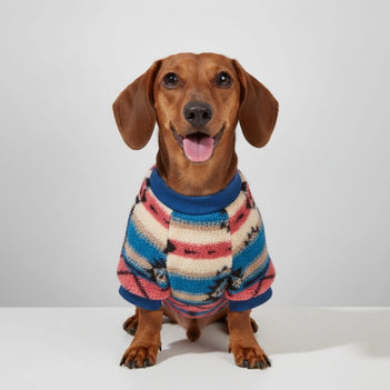 Colourful Striped Dog Sweater - Cosy & Fashionable Winter Wear