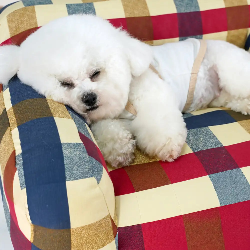 Cotton Canvas Fabric Breathable Scratch-Resistant Dog Sofa Bed