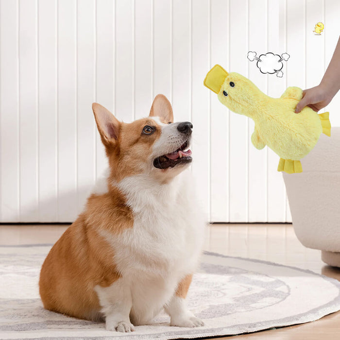 Cute Duck Plush Toy With Squeaker Dog Chew Toy - FunnyFuzzy