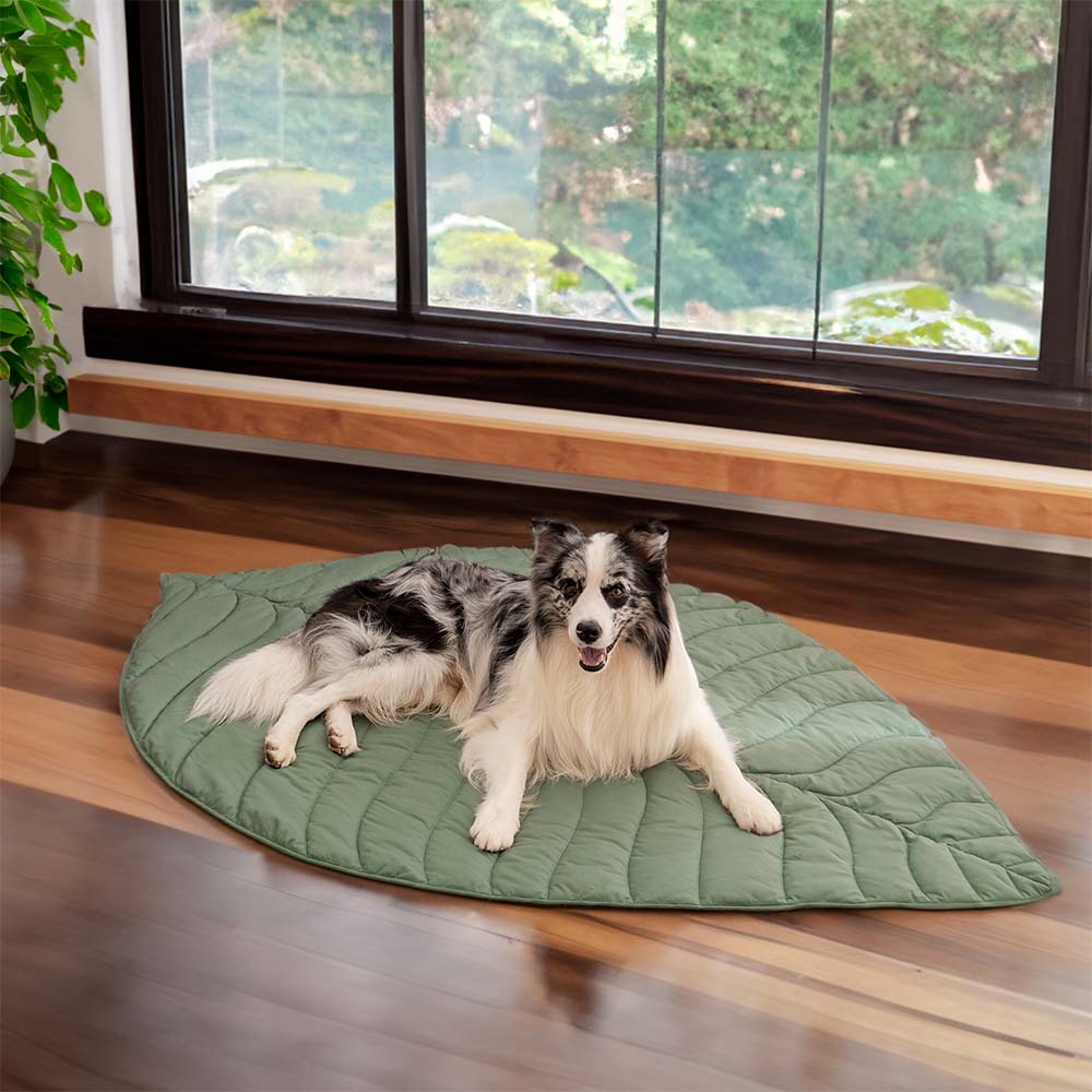 Leaf Shape Dog Blanket