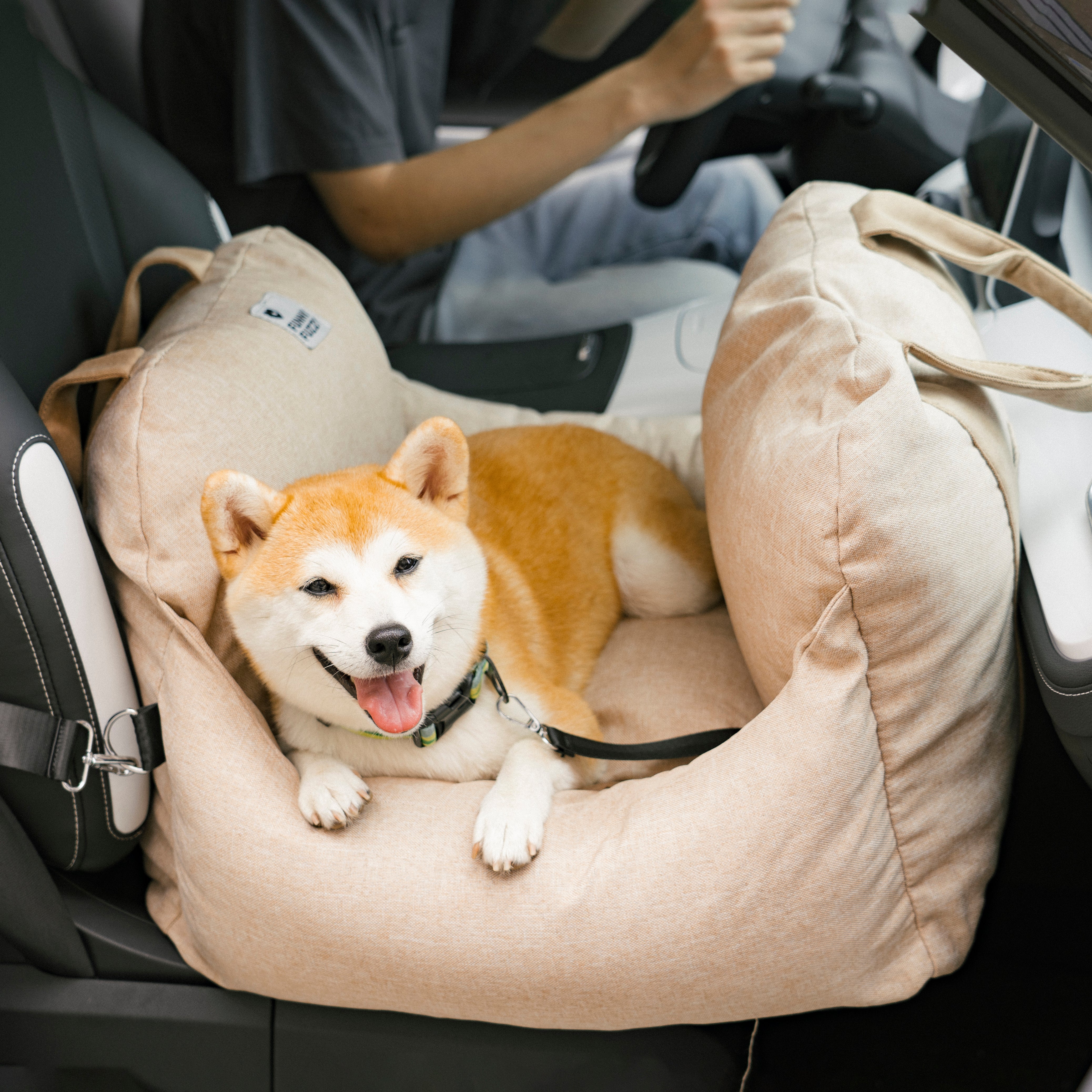 Travel Dog Car Seat Bed - Gym Bag