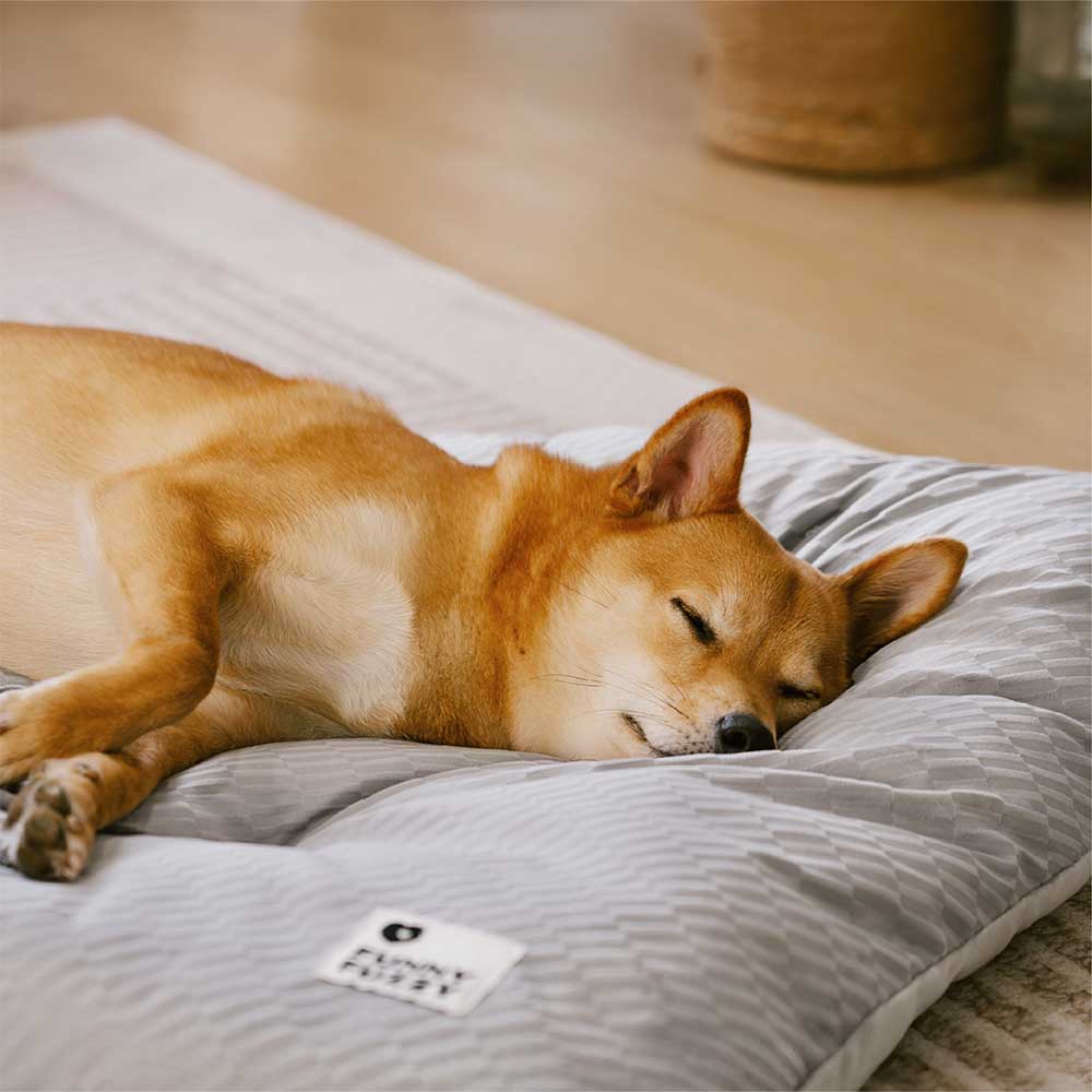 Dual-Sided Cosy Plush Washable Calming Dog Mat