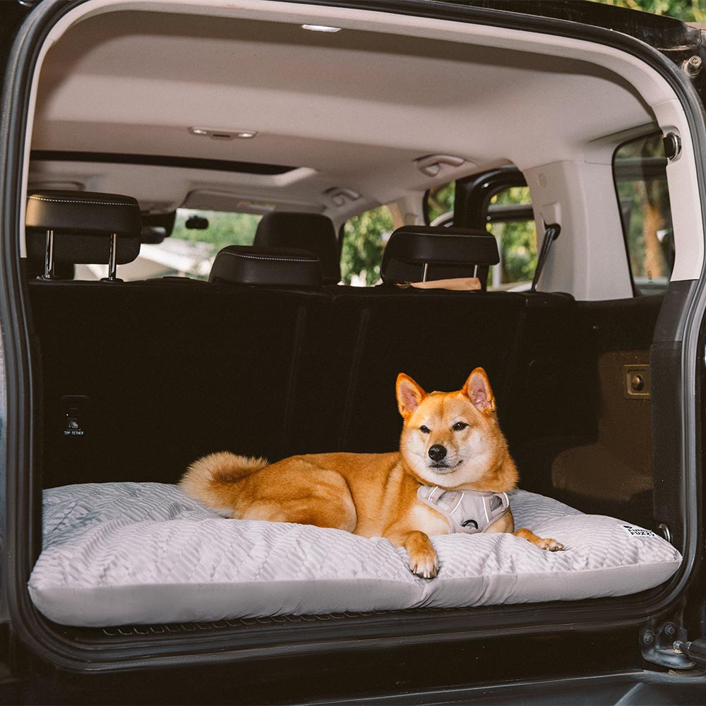 Dual-Sided Cosy Plush Washable Calming Dog Mat