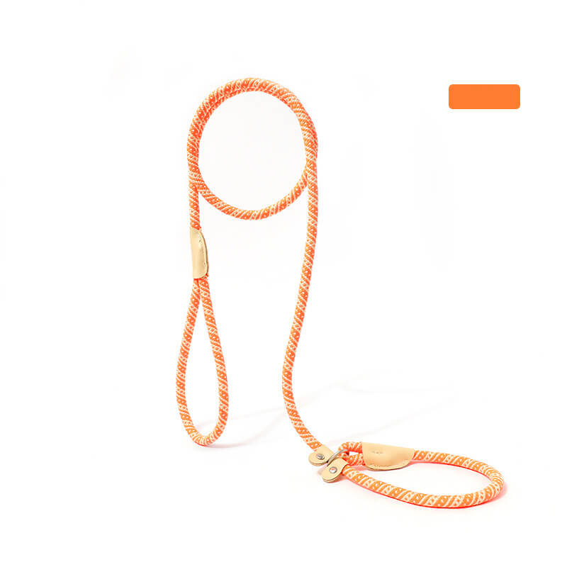 Explosion-Proof Nylon Braided Dog Leash Non-Pull