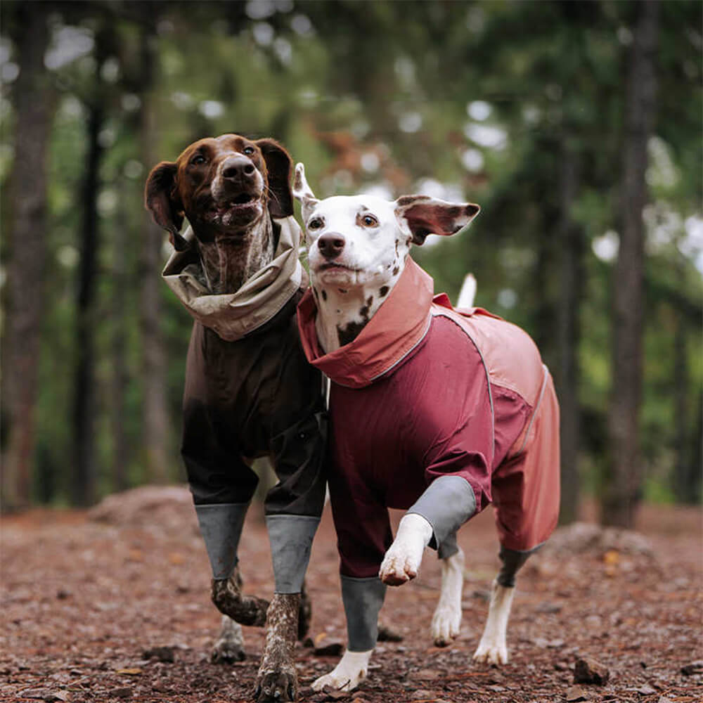 Large Adjustable Reflective Outdoor Dog and Human Matching Raincoat