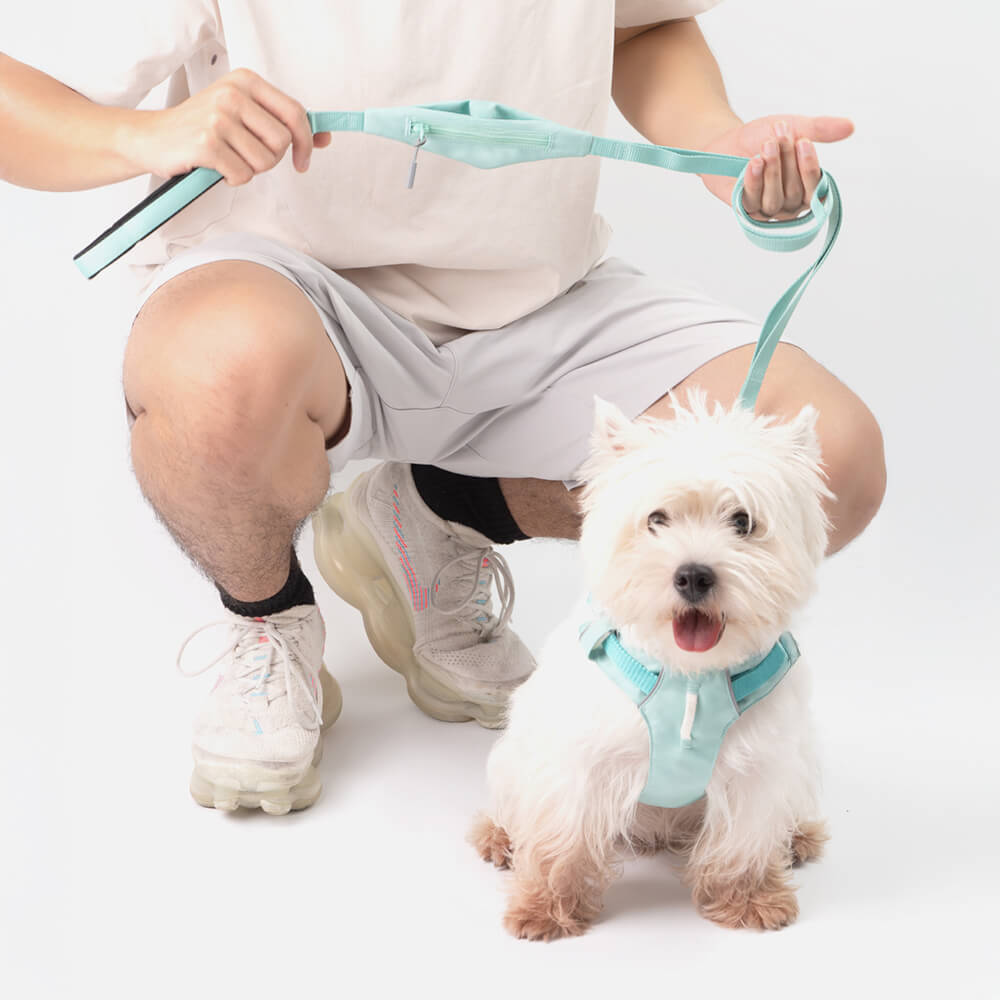 Adjustable Multi-Handle Dog Harness and Leash Kit