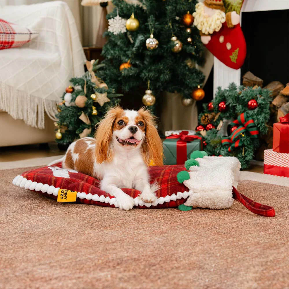 FUNNYFUZZY Christmas Stocking Cozy Pet Sleeping Bag Dog Bed – SantaNap