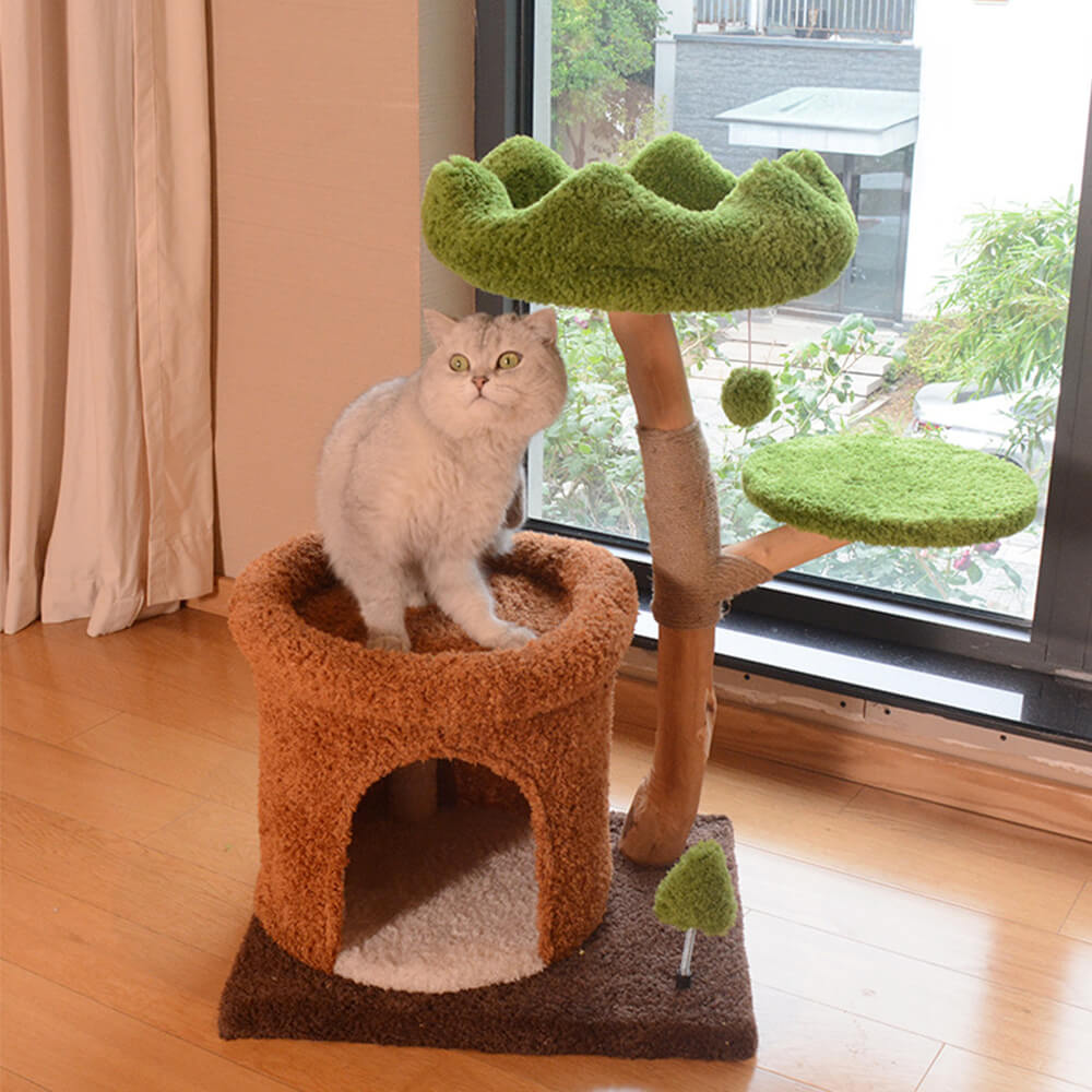 Forest-Inspired Tree Hollow Cat Cave Solid Wood Cat Tree