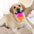 Freezable Popsicle Interactive Durable TPR Dog Toy