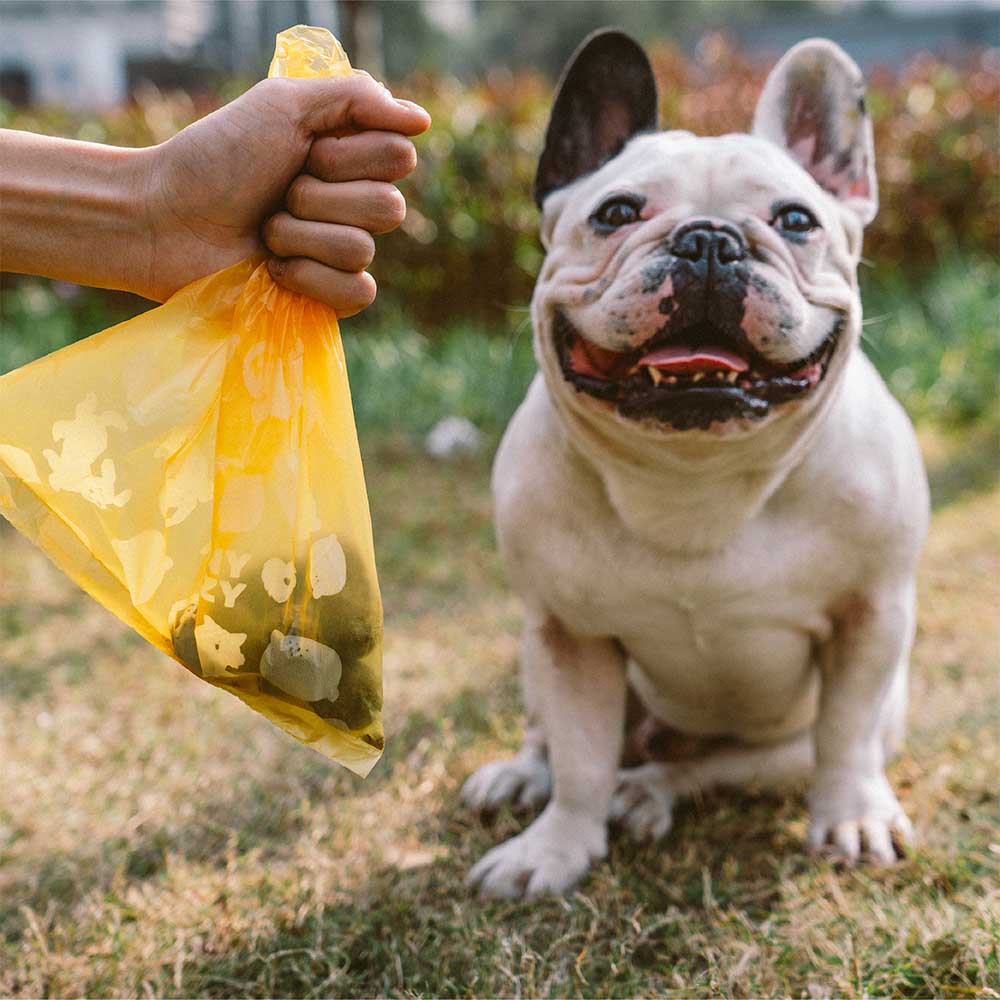 Lemon Scented Durable Recycled Poop Bag - Fresh Up