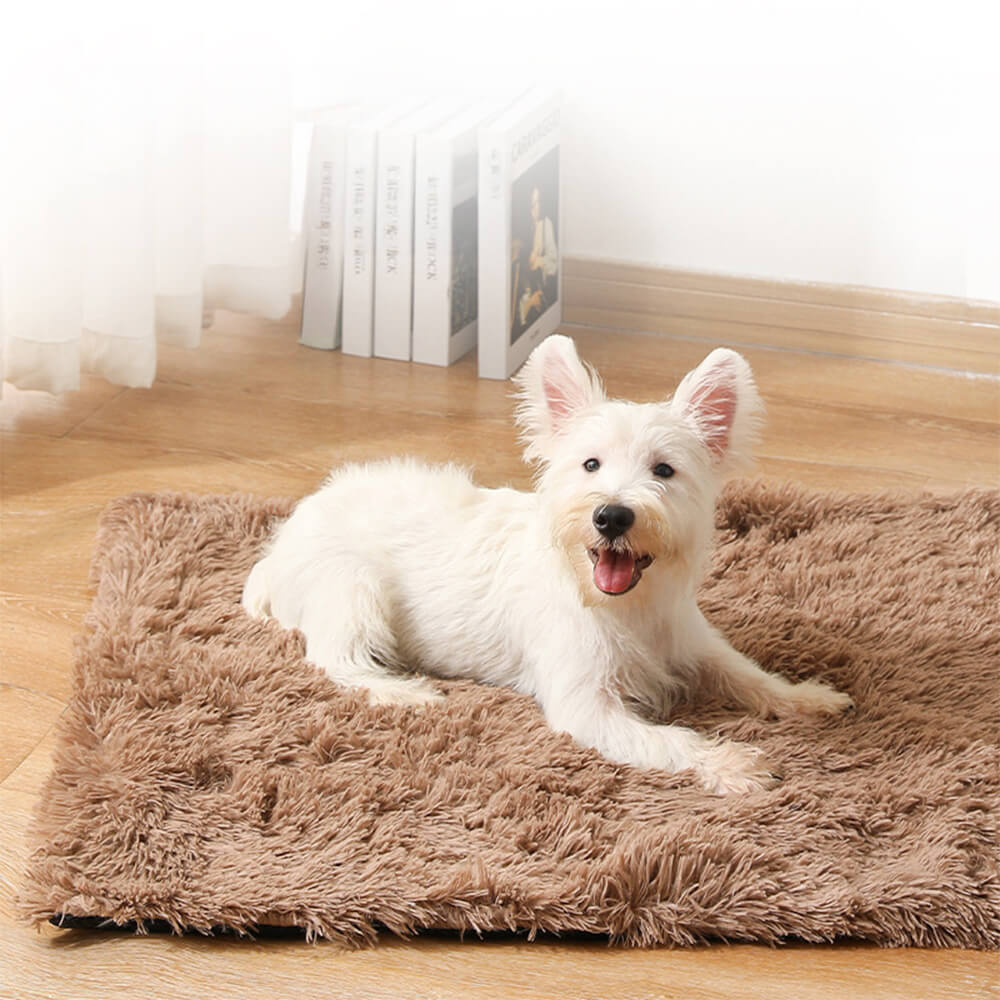 Soft Plush Anti-Slip Fluffy Dog & Cat Rug Mat