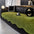 Trendy Chenille Anti-Scratch Elegant Wavy Shaped Couch Cover