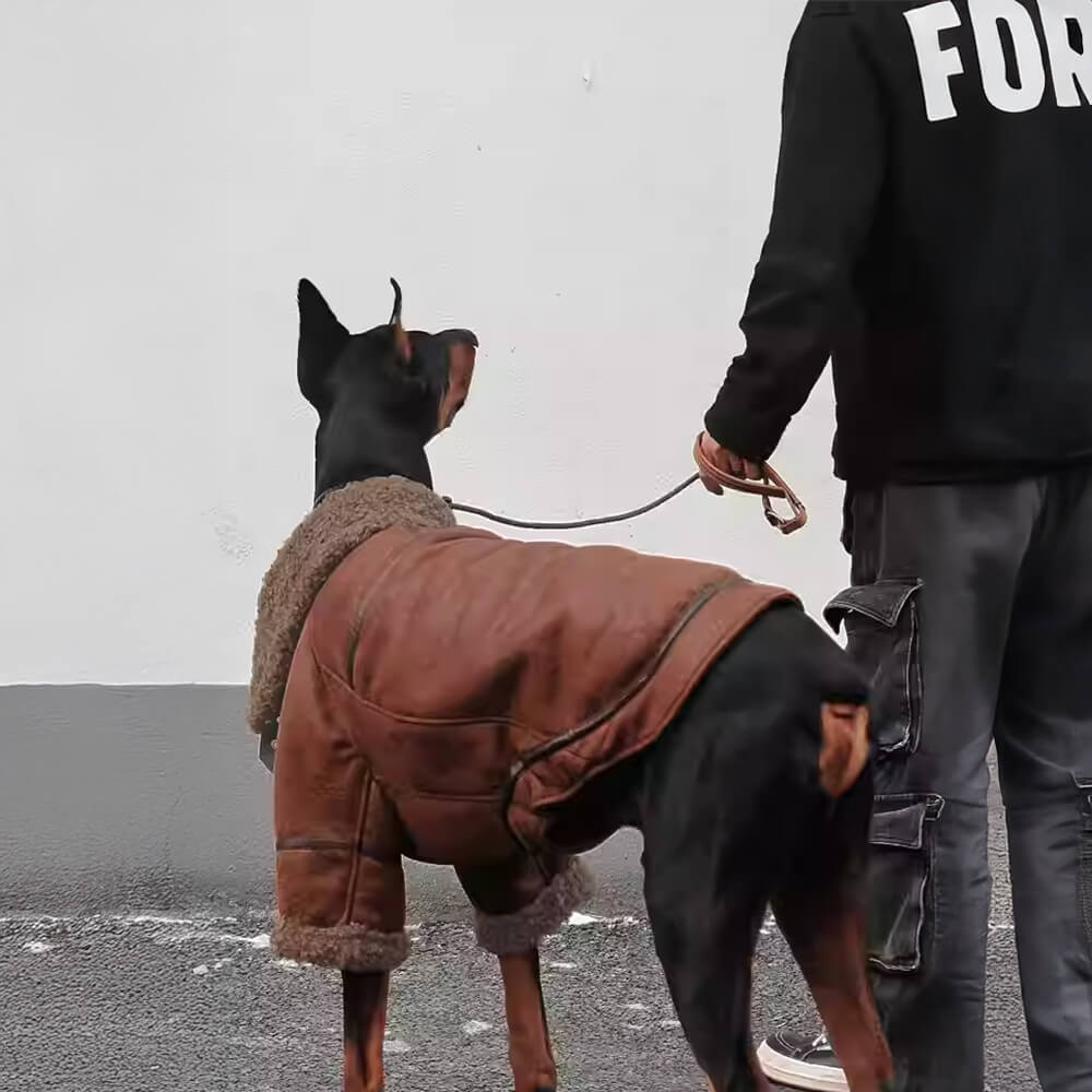 Vintage Aviator Dog Jacket with Shearling Lining - Warm and Stylish