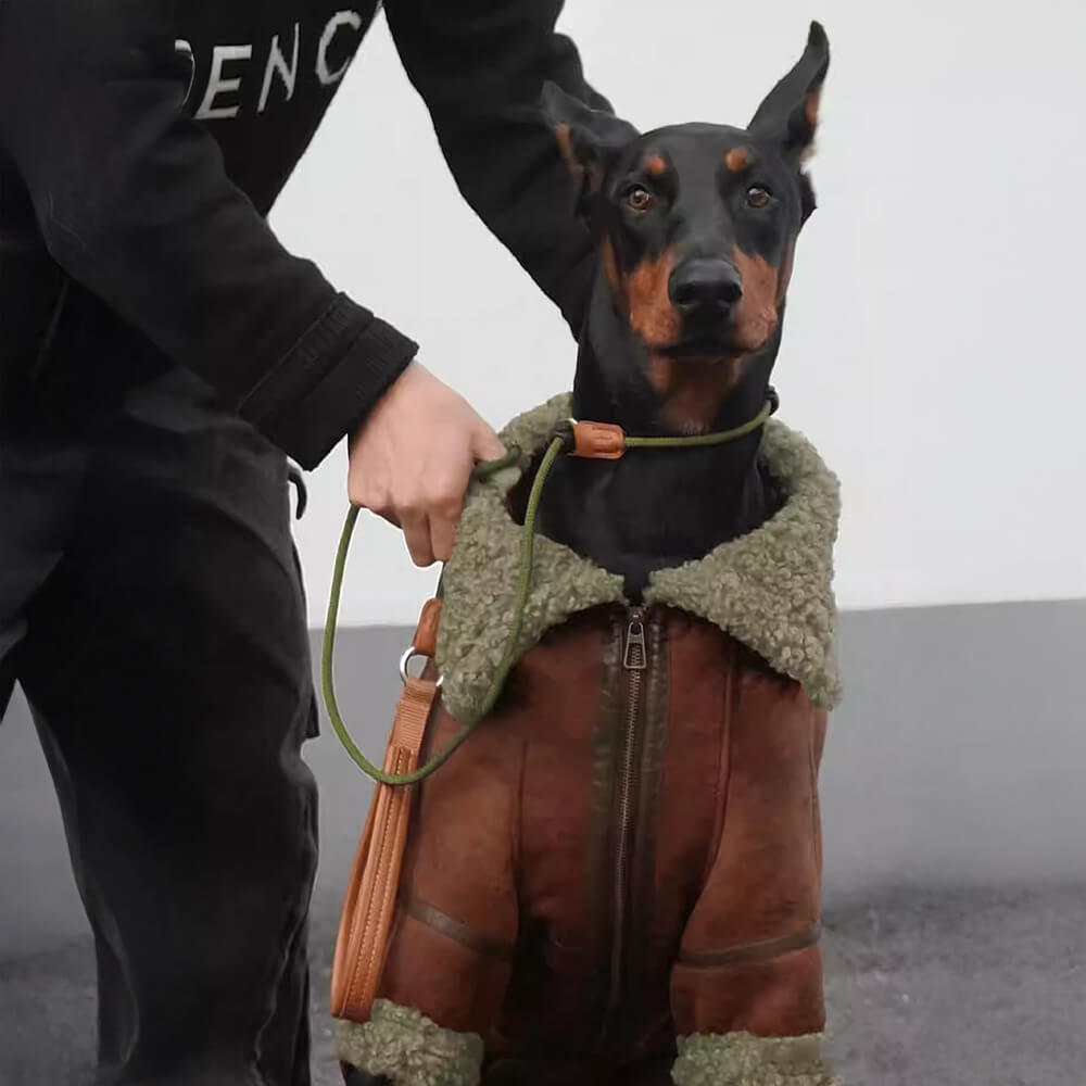 Vintage Aviator Dog Jacket with Shearling Lining - Warm and Stylish