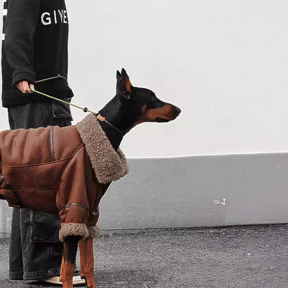 Vintage Aviator Dog Jacket with Shearling Lining - Warm and Stylish