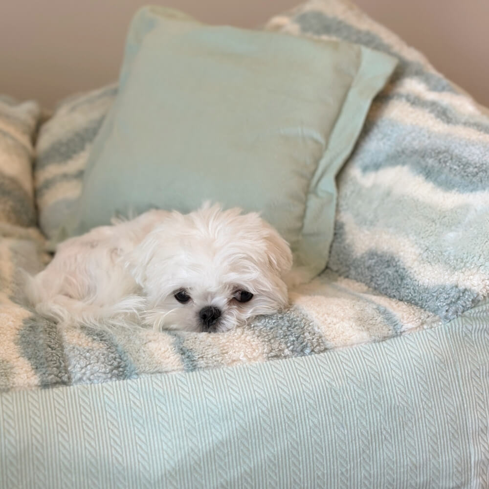 Fashion Color Block Polar Fleece Dog Sofa Bed