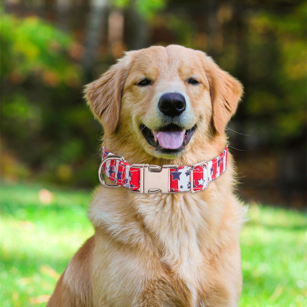 Fashion Dog Accessories American Flag Dog Collar with Bow