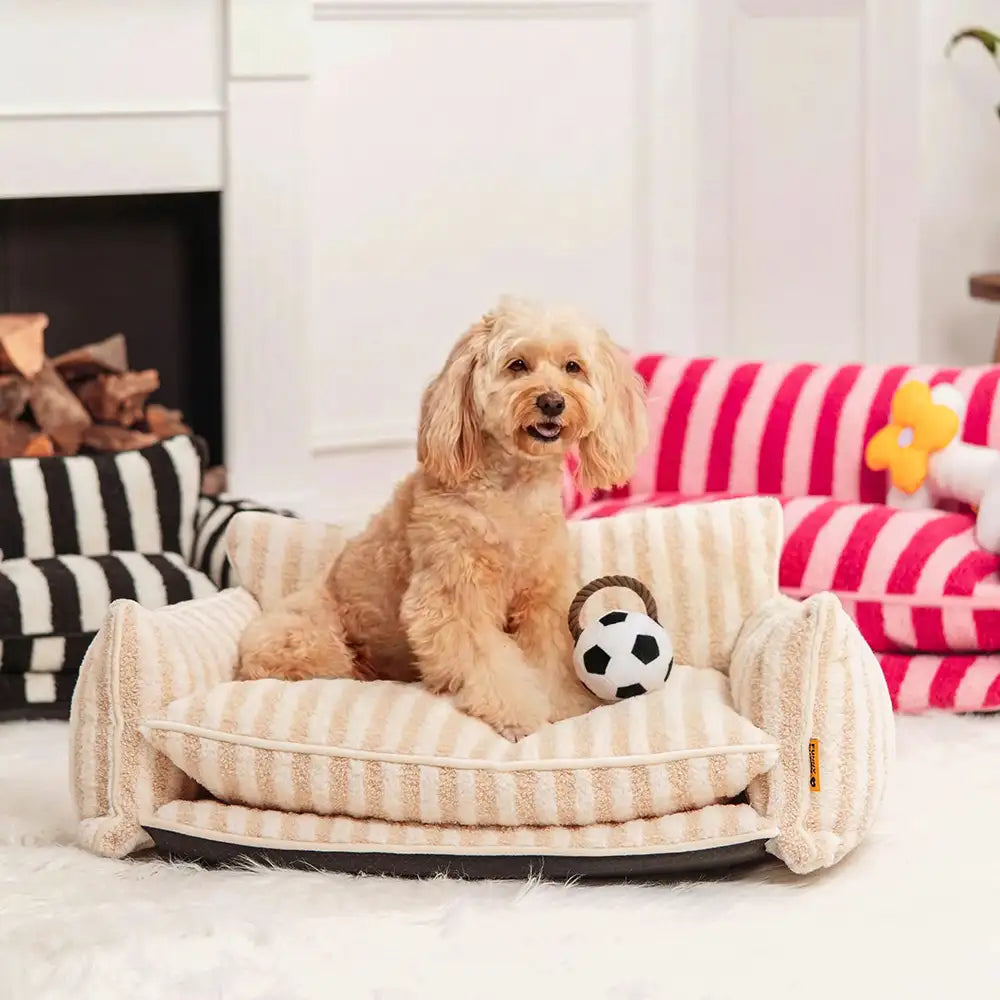 Fun Balls Dog Rope Chew Toy