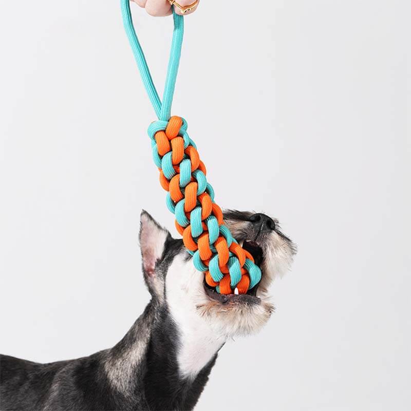 Braided Rope Stick Tug Dog Toy - Colour Clash