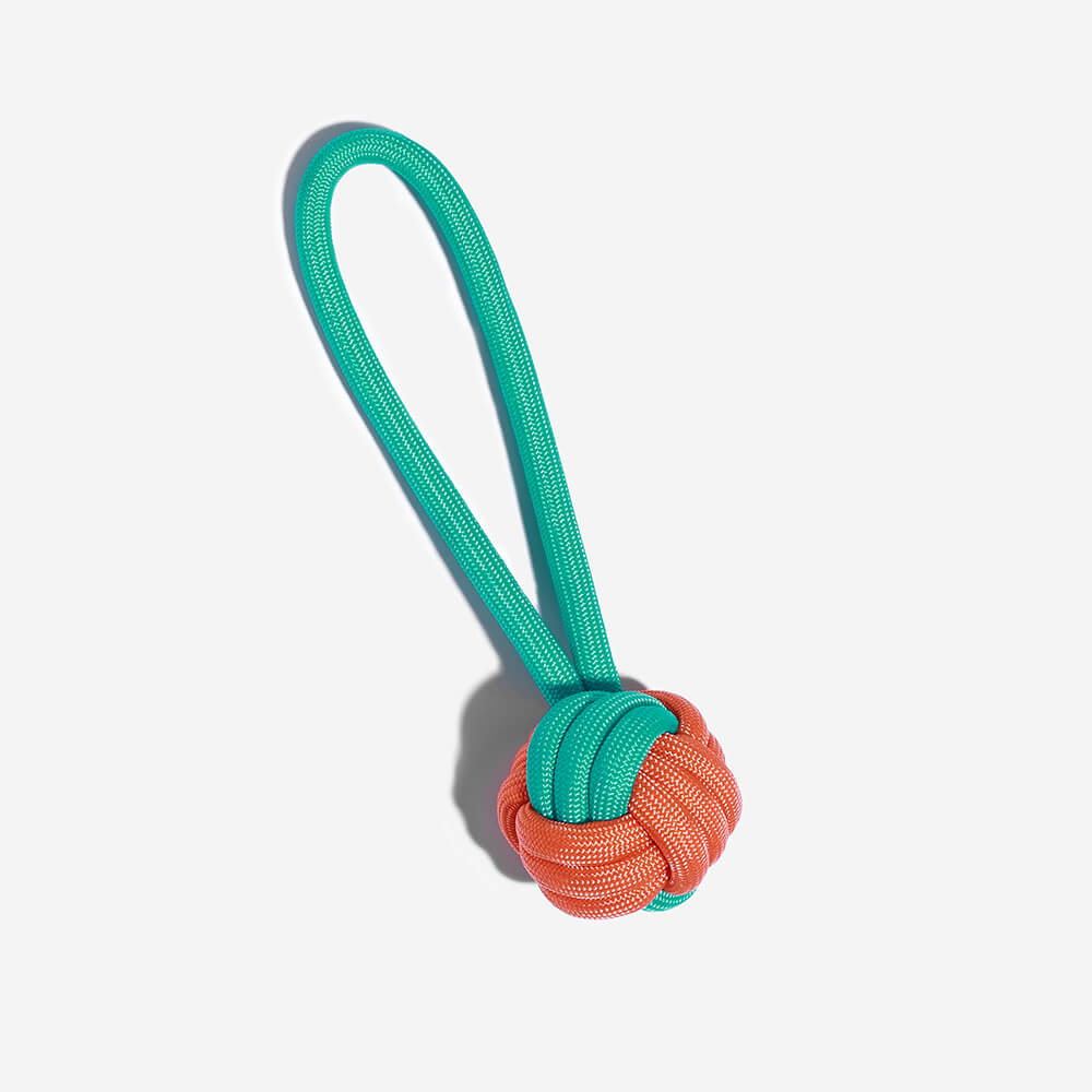 Knots Rope Tug Dog Toy - Colour Clash