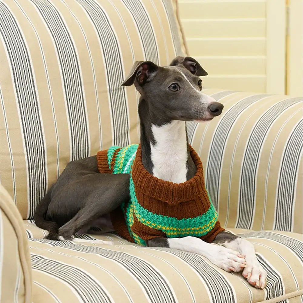 Color Blocked Striped Dachshund Dog Sweater