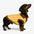 Color Blocked Striped Dachshund Polo Collar Dog Jumper