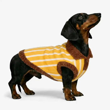 Color Blocked Striped Dachshund Polo Collar Dog Jumper