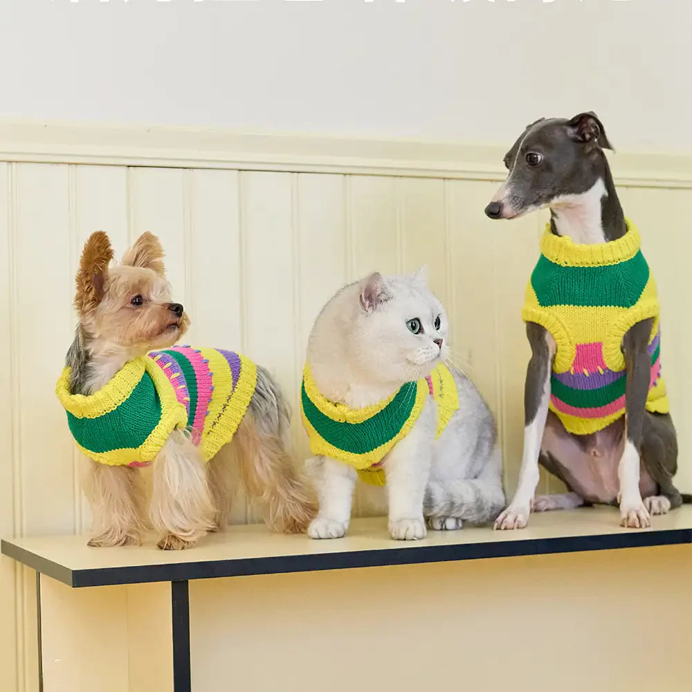 Color Blocked Striped Dachshund Sleeveless Dog Sweater