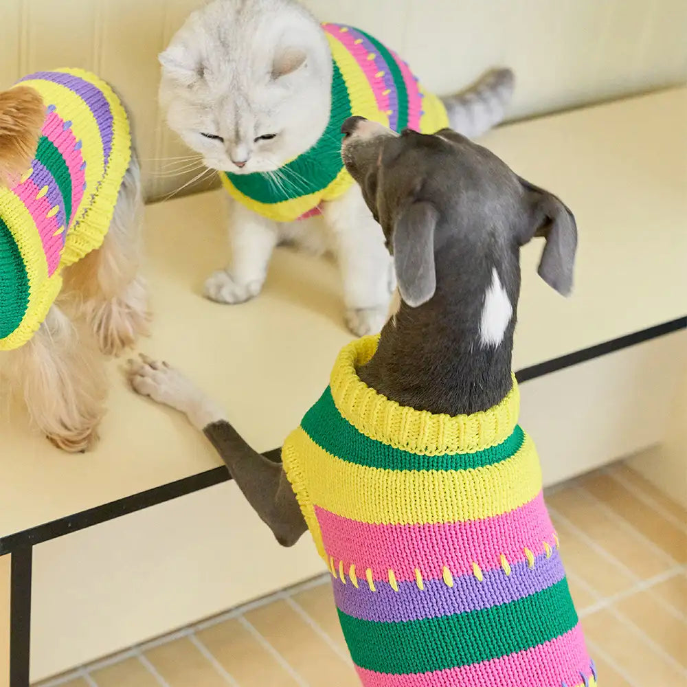 Color Blocked Striped Dachshund Sleeveless Dog Sweater