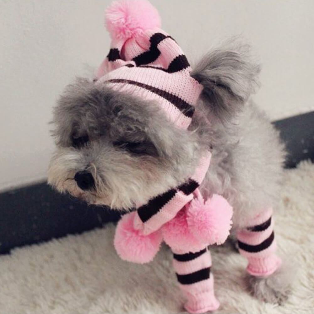 Colorful Striped Knit Pom Pom Cozy Dog Hat Scarf & Socks Set