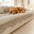 Cookie Comfortable Plush Skin-Friendly Non-Slip Couch Cover