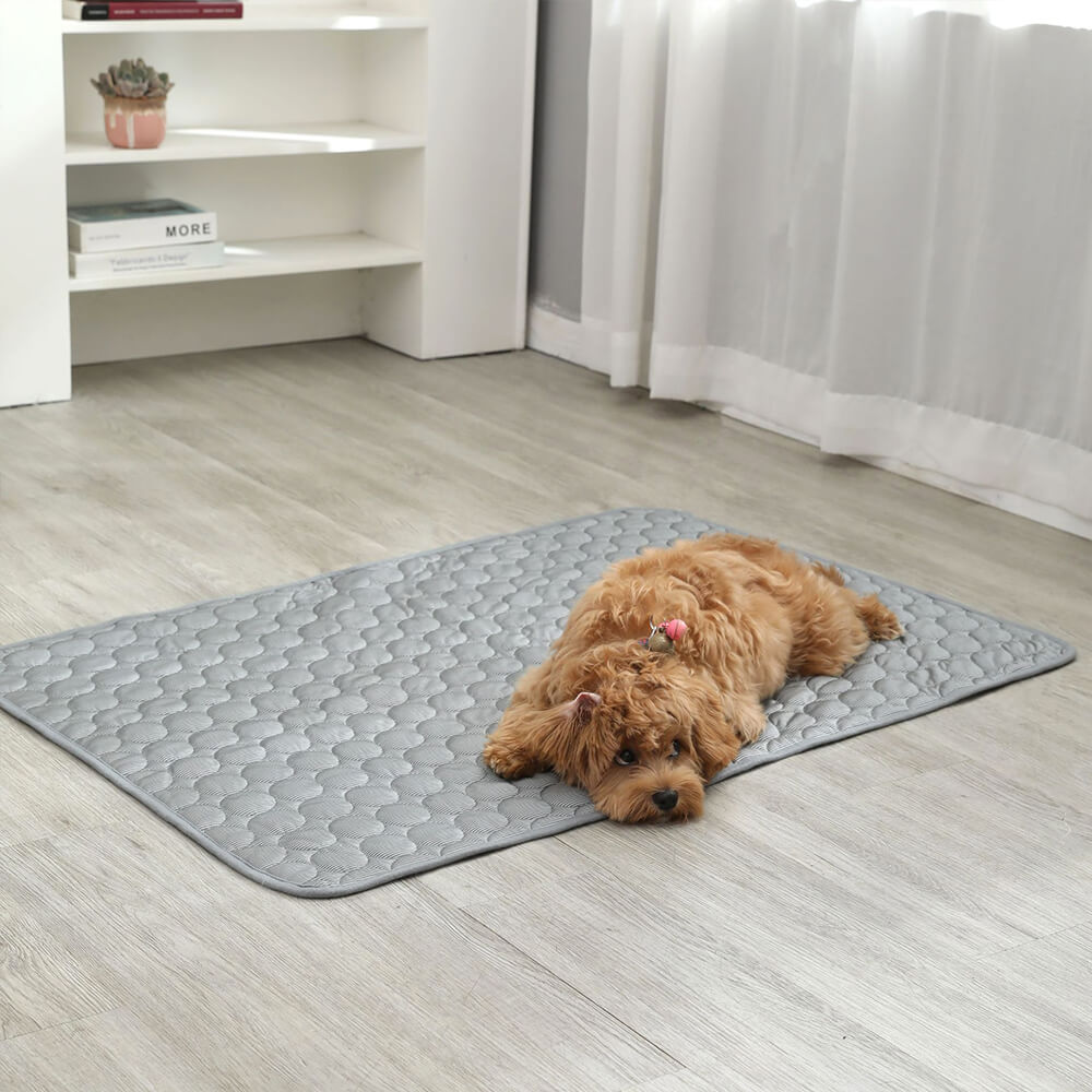 Cooling Ice Silk Soft Non-Slip Large Area Dog & Cat Mat