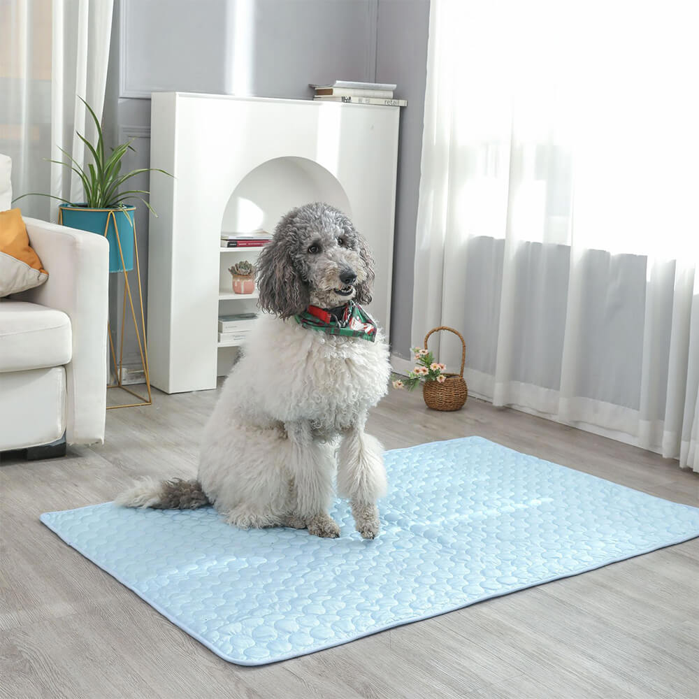 Cooling Ice Silk Soft Non-Slip Large Area Dog & Cat Mat