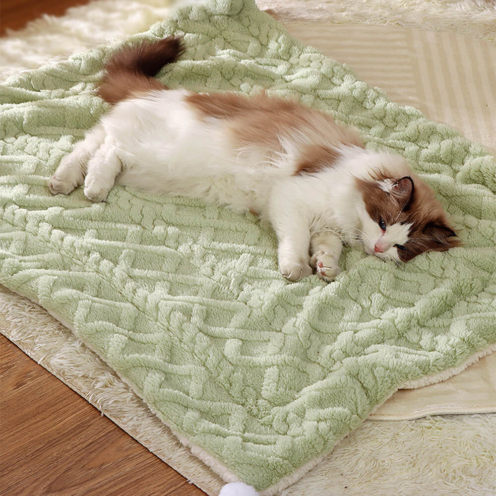 Double-Sided Cozy Anti-Static Dog & Cat Blanket With Neck Support Pillow