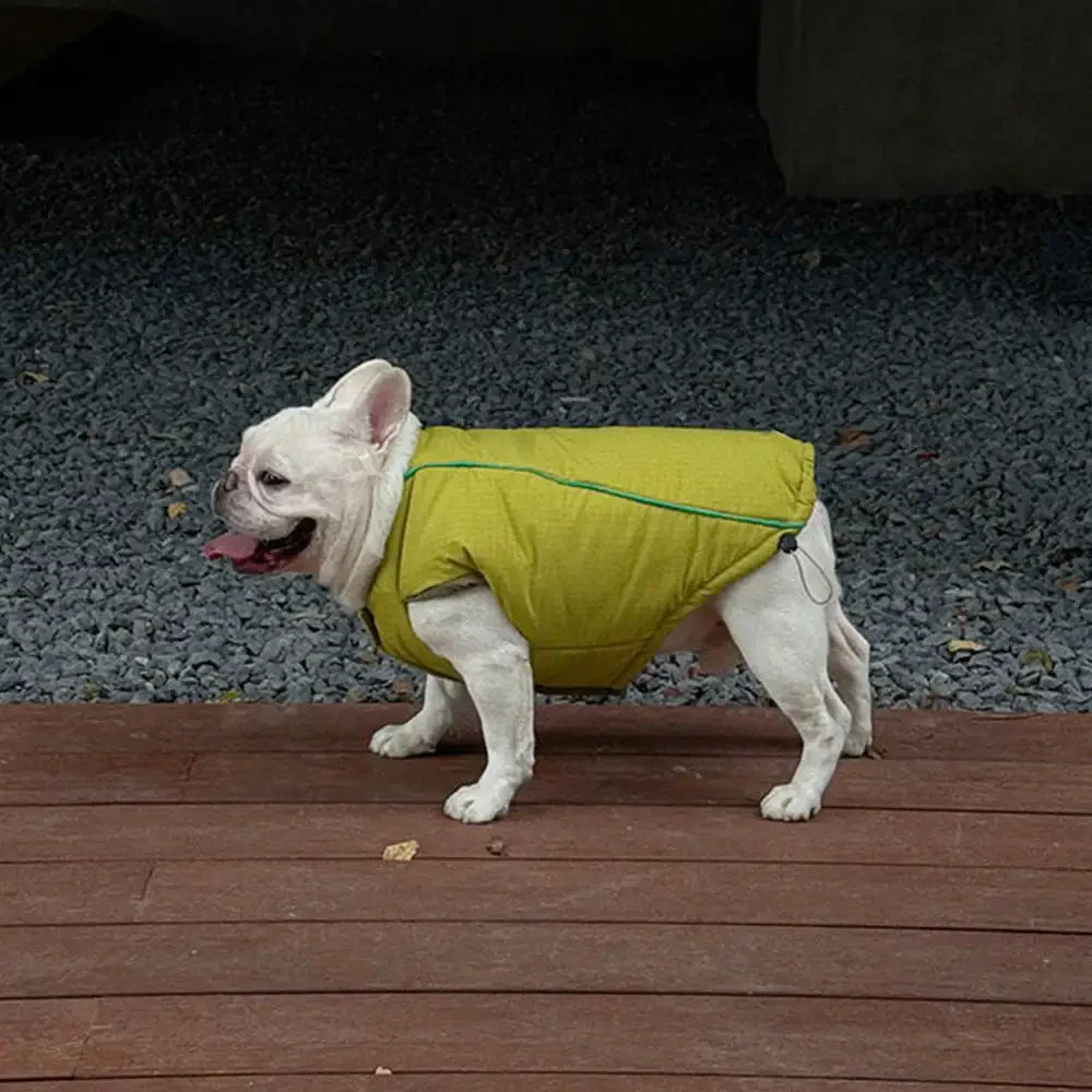 Fashion Reversible Padded Thick Warm Dog Jacket