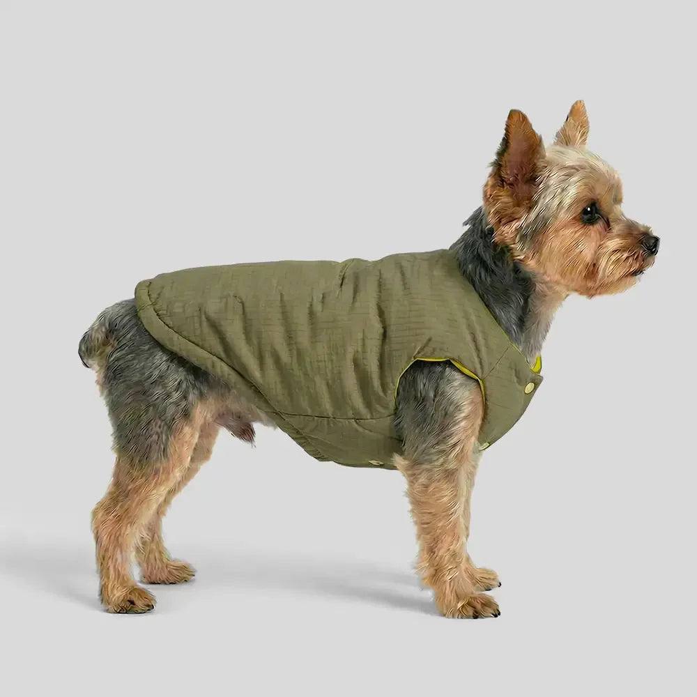 Fashion Reversible Padded Thick Warm Dog Jacket